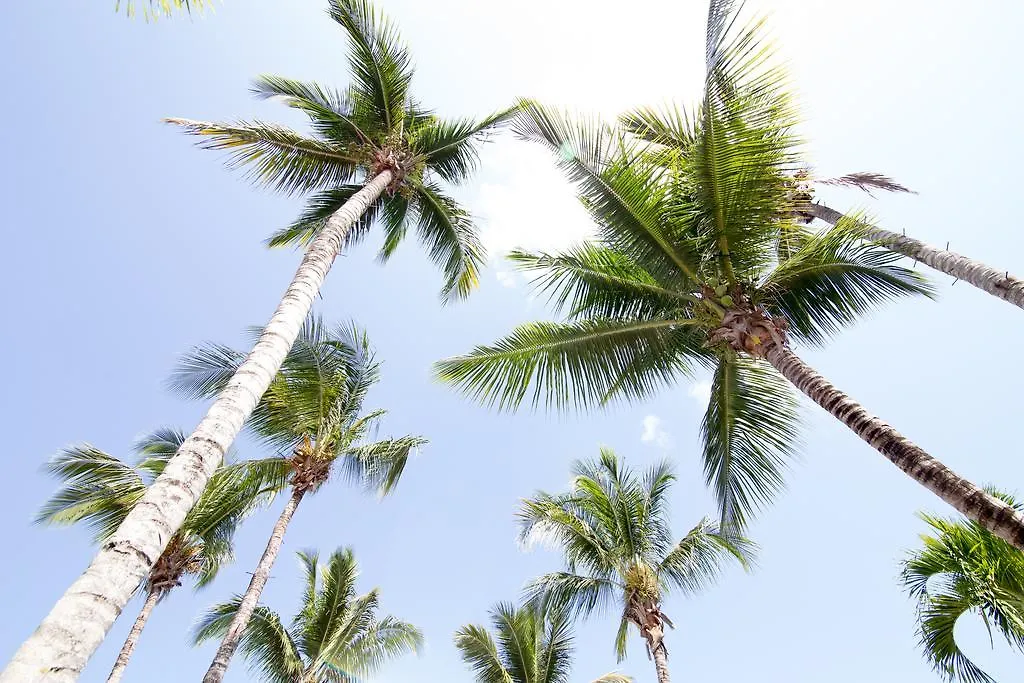 Northway'S Hotel Monte Cristo Cabarete